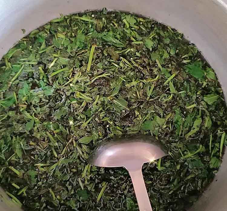 Washing mint leaves