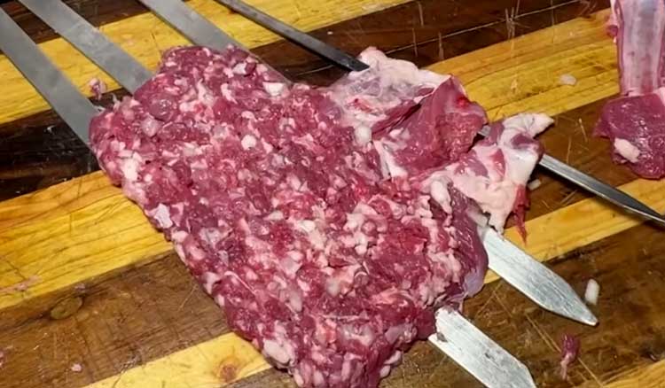 skewer dande kabab complete