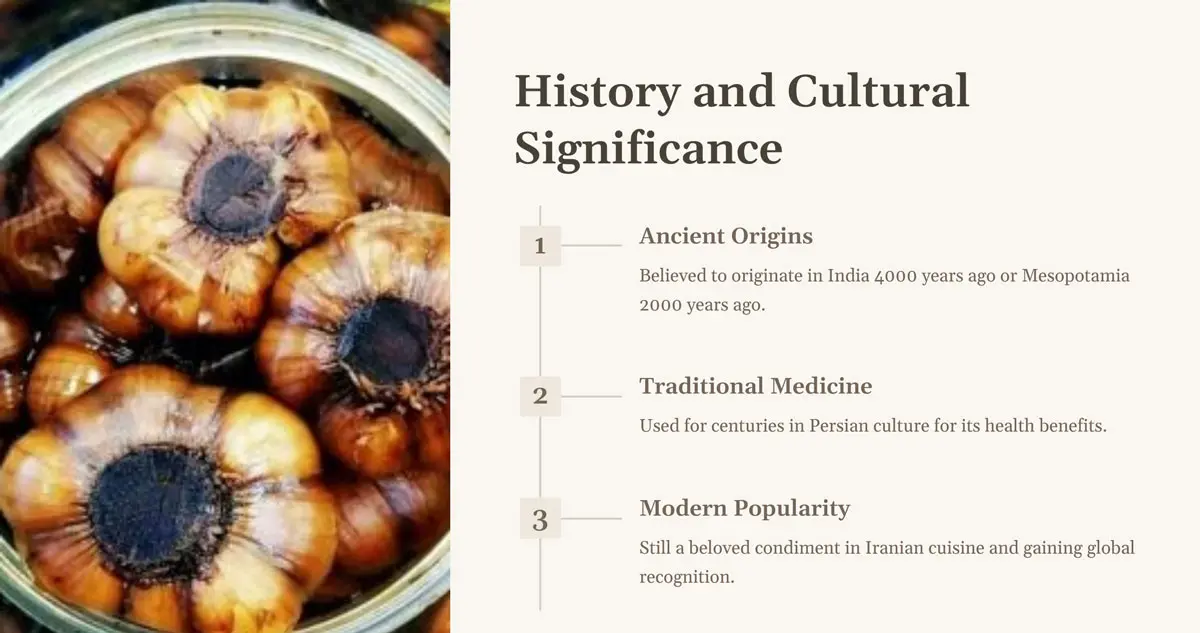 History and Cultural Significance seer torshi