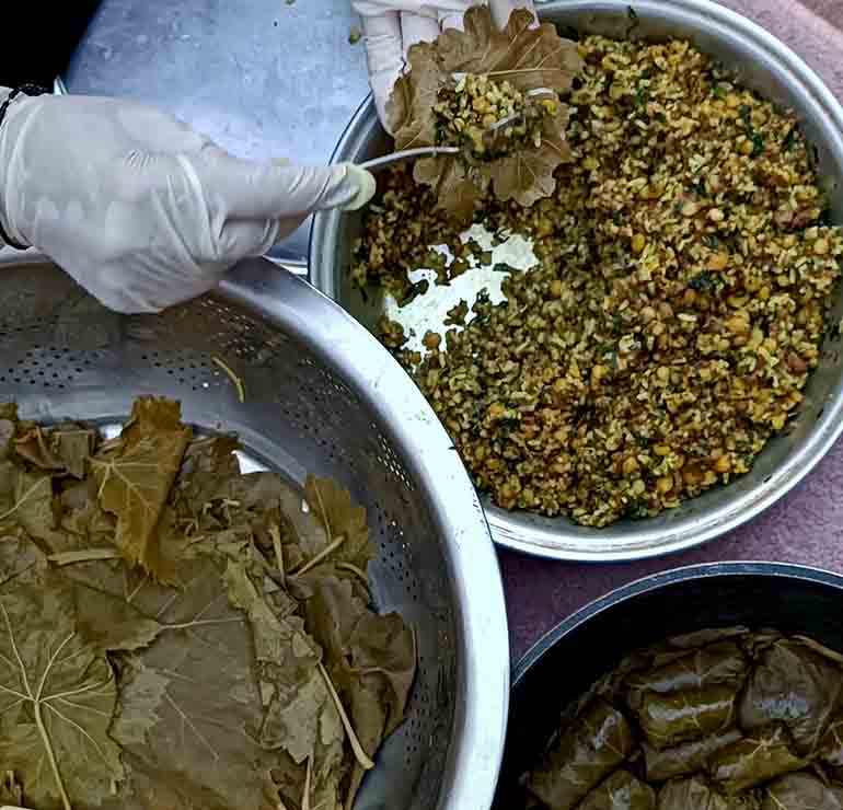 Tips on choosing best vine leaves