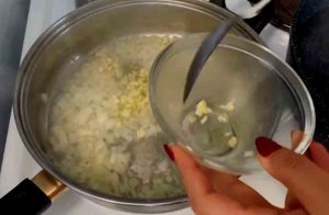 step 1 meygoo polo