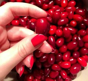 instruction Cornelian Cherry Jam