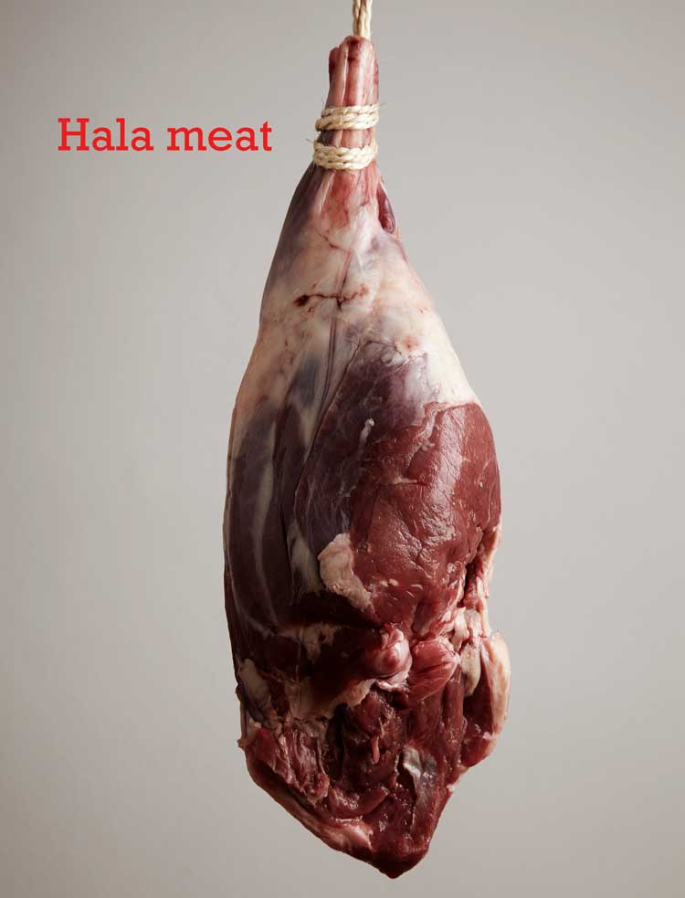 halal meat