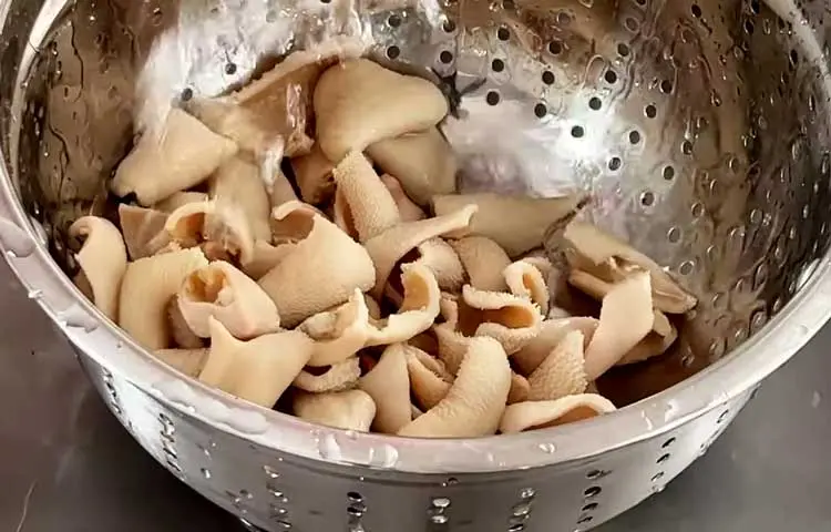 Cleaning fresh beef tripe under water before cooking Sirabi soup