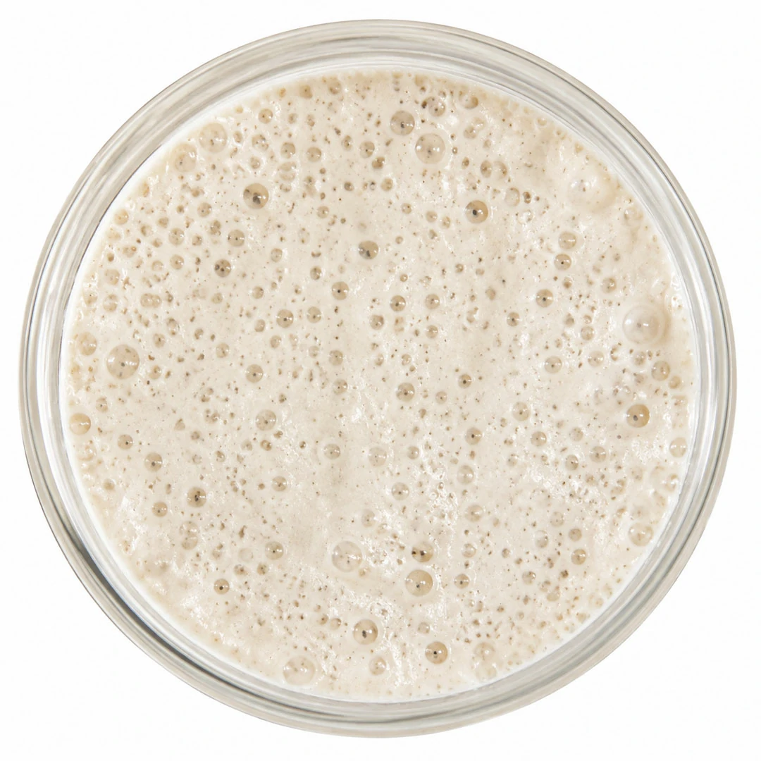 Top-down view of a bubbly, active sourdough starter in a glass jar, isolated on a white background.